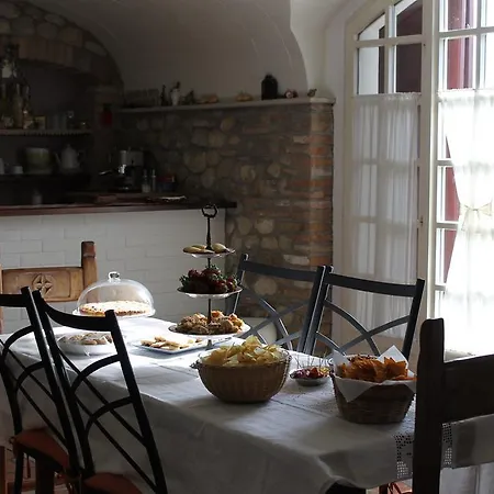 B&B Le Querce 베루치오
